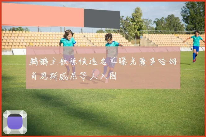 鹈鹕主教练候选名单曝光隆多哈姆肖恩斯威尼等人入围
